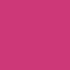 Plottix Permanente Vinylfolie 31,5cmx1m magenta 